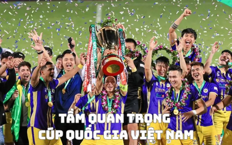 Cúp Quốc gia Việt Nam đóng vai trò như thế nào