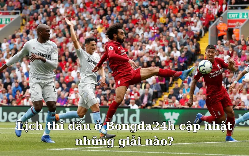 Rất nhiều các giải bóng đang được cập nhật lịch thi đấu
