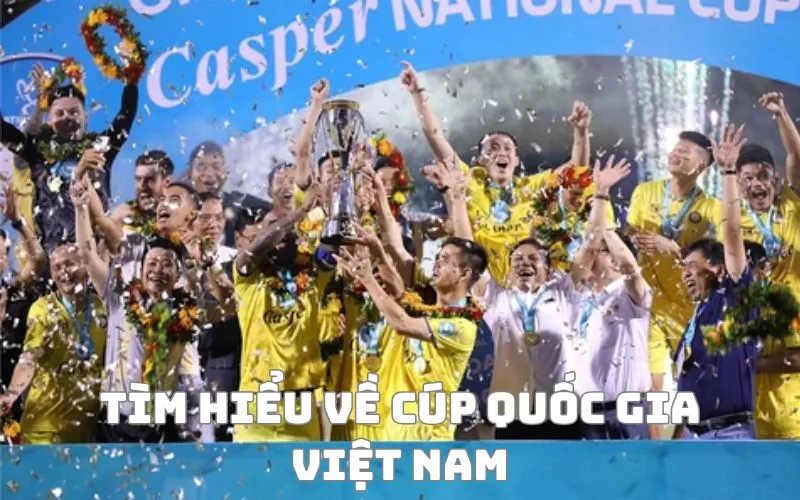 Thông tin cơ bản về Cúp Quốc gia Việt Nam