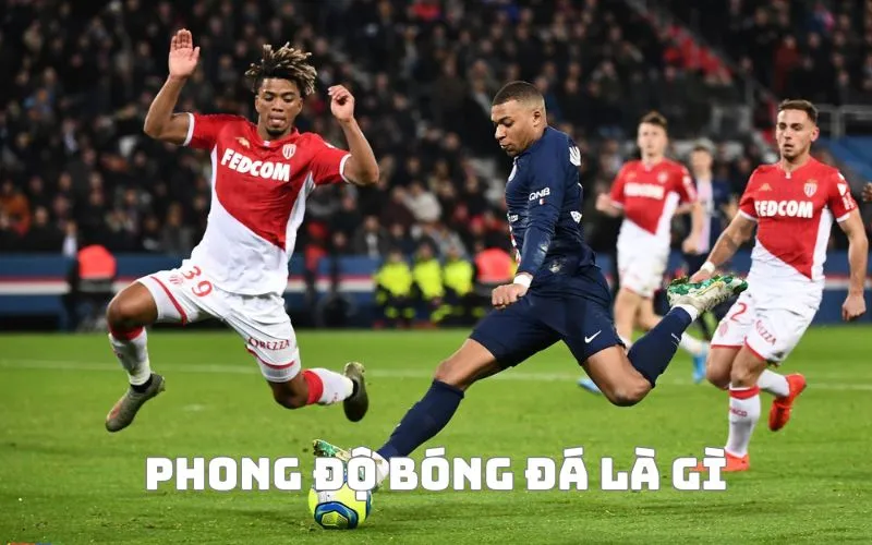 Tìm hiểu sơ lược về phong độ đội bóng BongDa24h