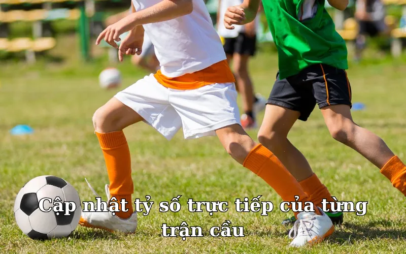 Nắm bắt thông tin nhanh chóng, chuẩn xác
