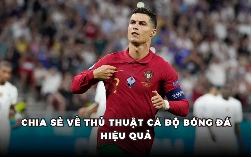 Chia sẻ về thủ thuật cá độ bóng đá hiệu quả