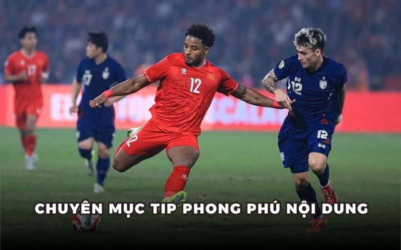 Chuyên mục tip phong phú nội dung