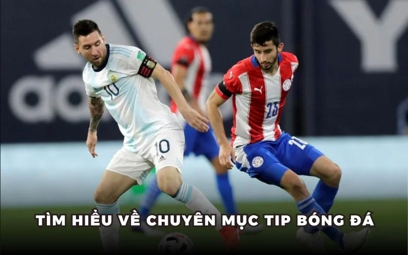 Tìm hiểu về chuyên mục tip bóng đá